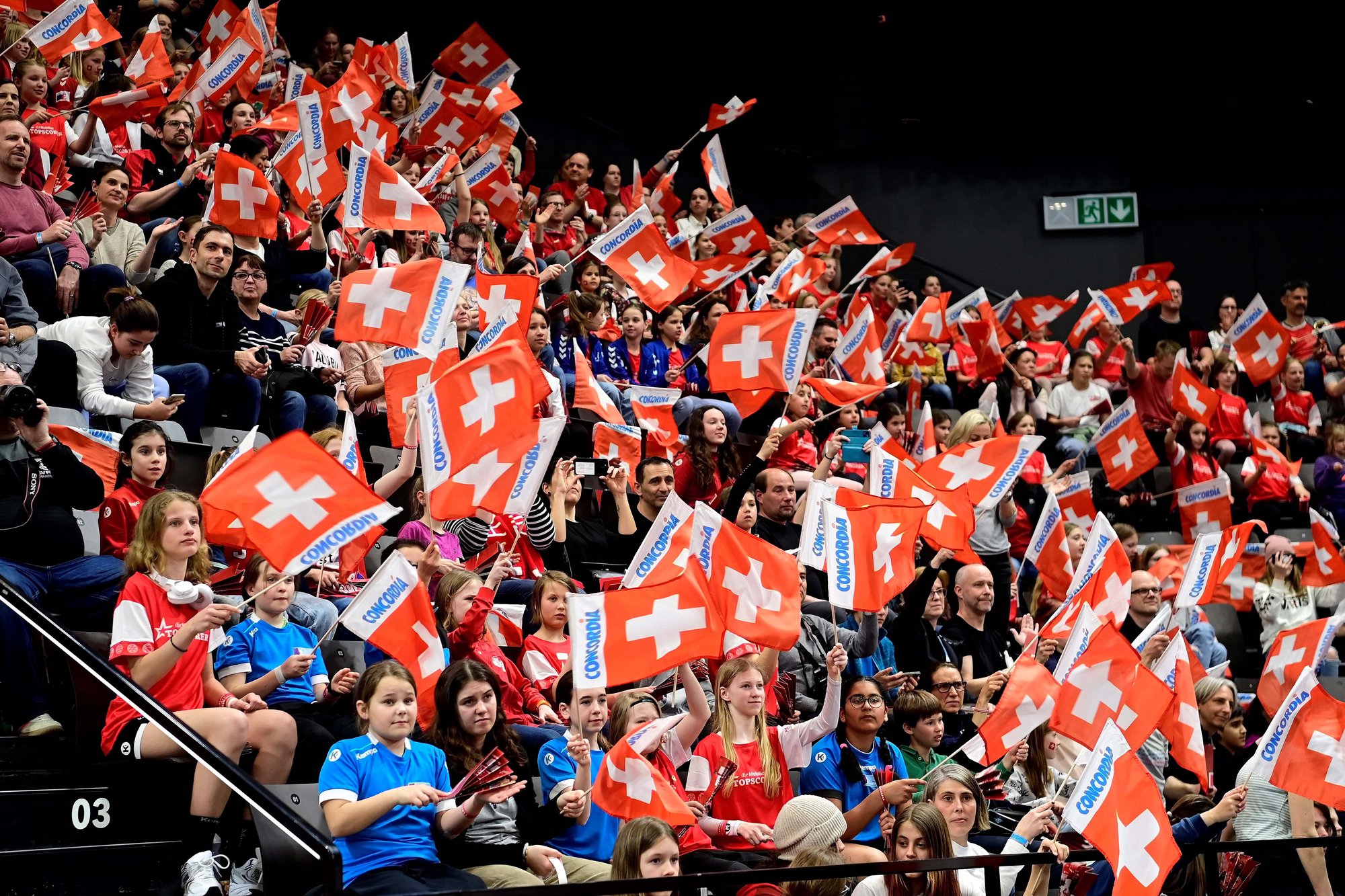 Schweizer Handball Publikum
